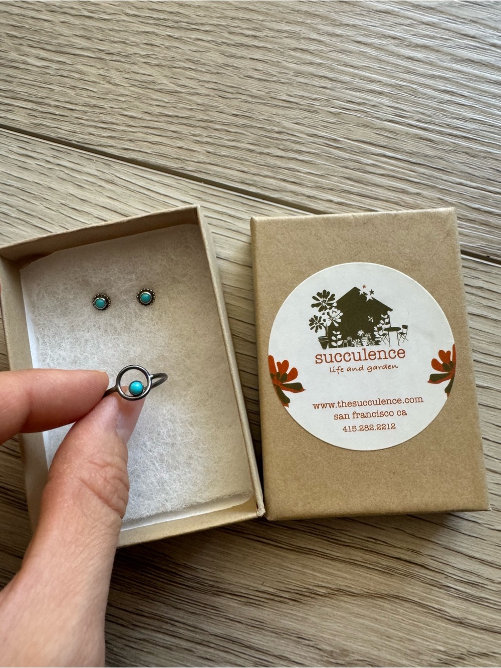 Succulence San Francisco Turquoise Silver Ring and Earring Set
